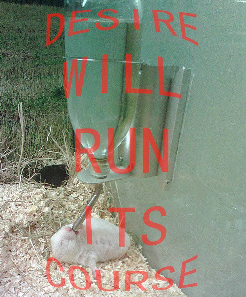 text in bold red capitals, slightly warped outwards at the top and bottom, reads 'DESIRE WILL RUN ITS COURSE' over a photo of a hamster laying down, eyes closed, with its mouth pressed to a pet water bottle.