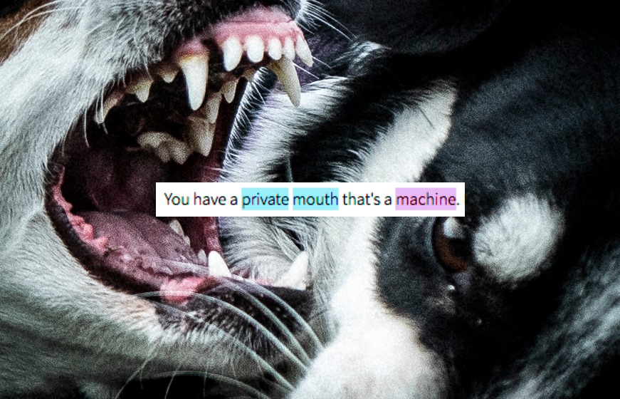 a close up of a dog's bared teeth next to the neck of a second dog laying down. in the centre, a screenshot of black text on a white background reading 'You have a private mouth that's a machine.' 'private mouth' is highlighted in blue, 'machine' is highlighted in pink.